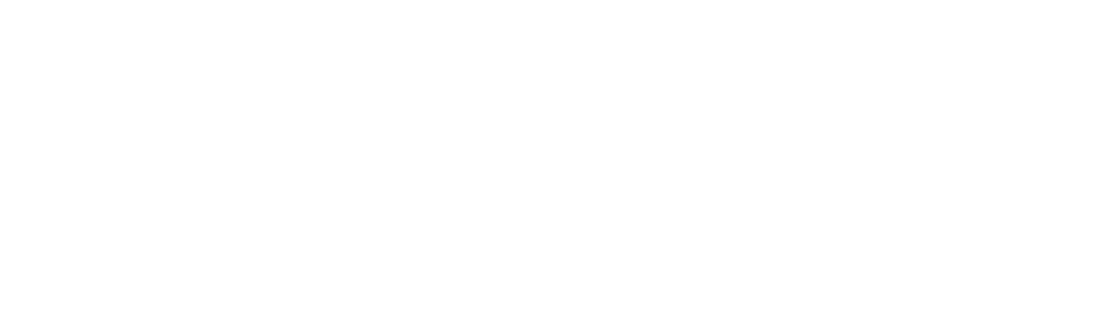 InstaFast IT Solutions Web Software Agencija InstaFastIT Logo